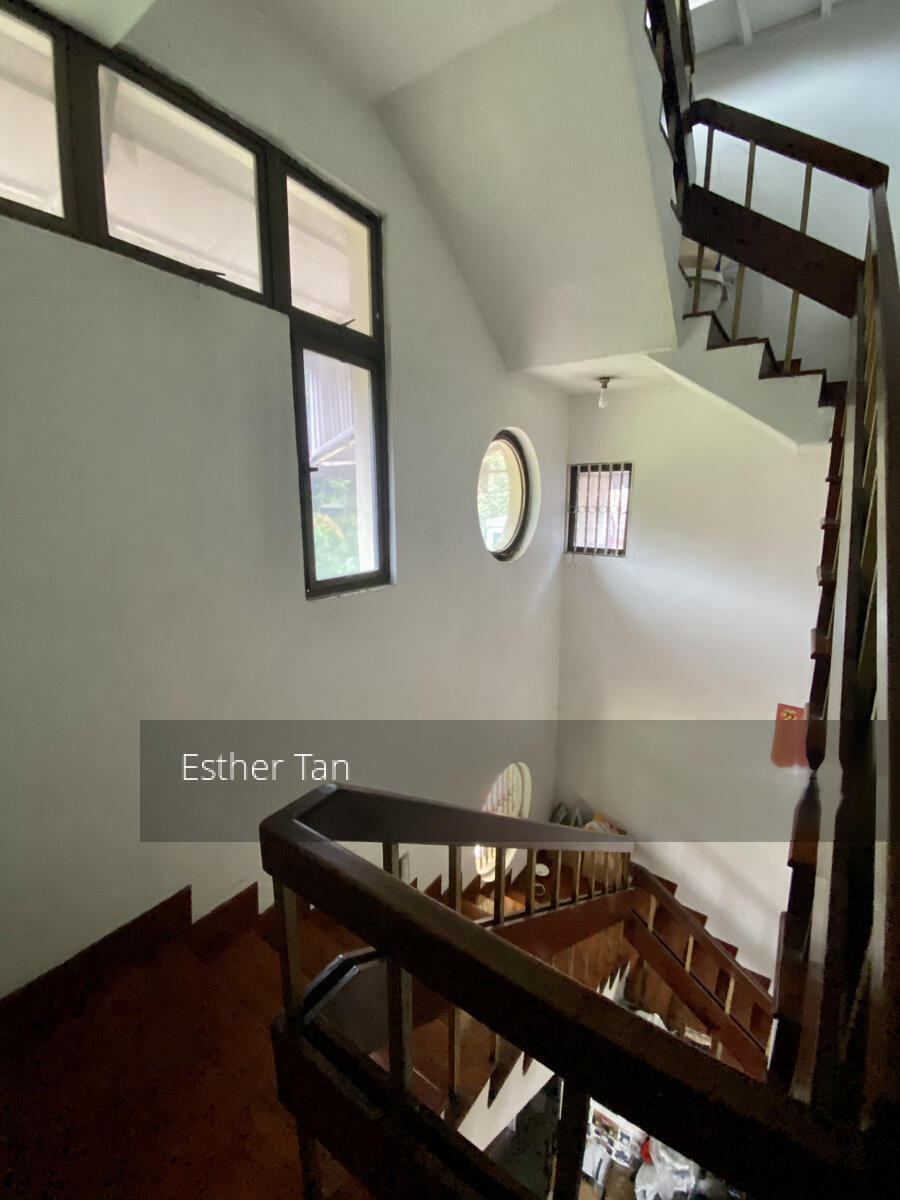 Neo Pee Teck Lane (D5), Terrace #270306221